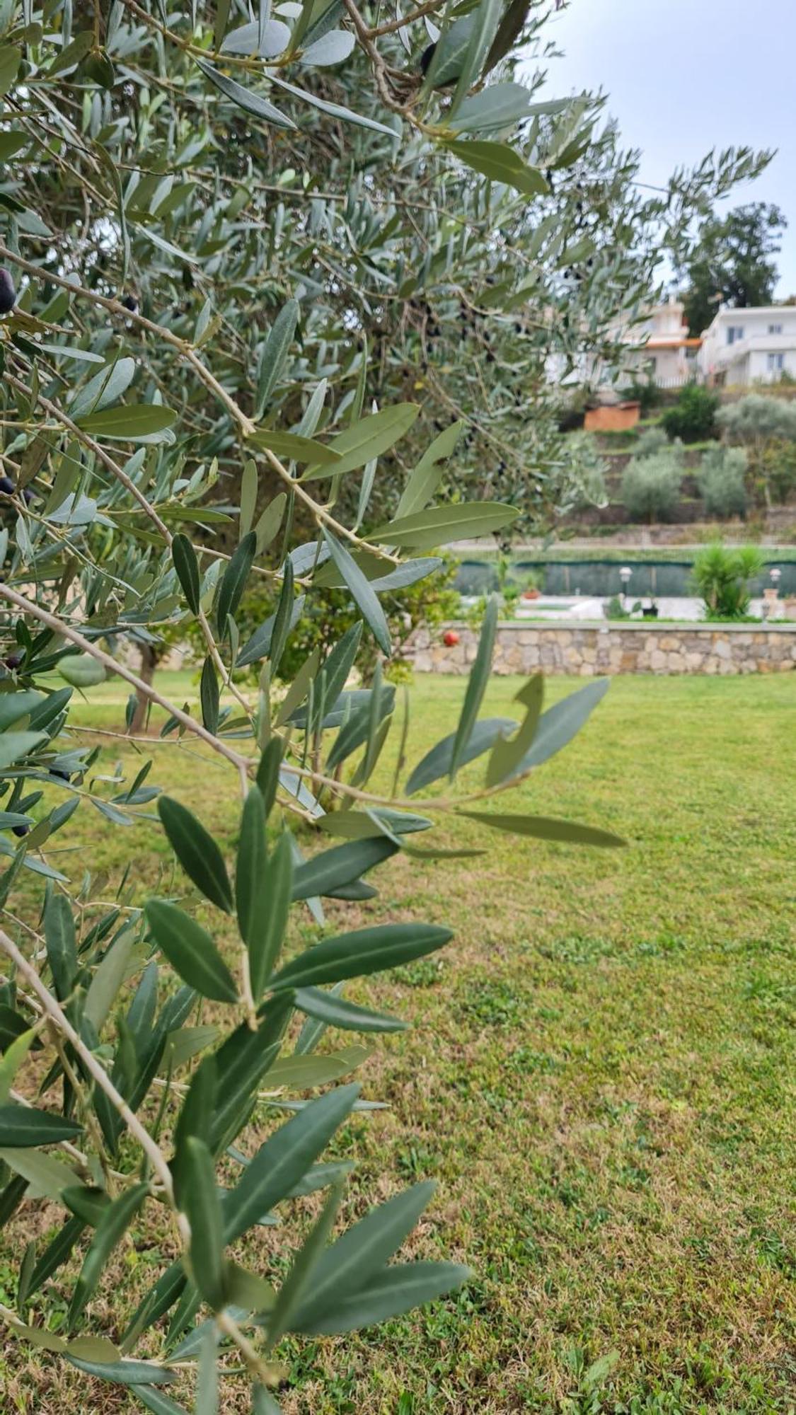 La Hacienda Hotel Ulcinj Ngoại thất bức ảnh